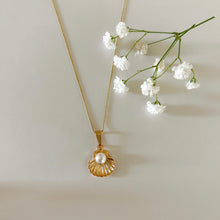 Load image into Gallery viewer, Sea Shell Pearl Necklace
