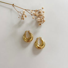 Load image into Gallery viewer, Melia Chunky Hoop Earrings
