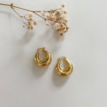 Load image into Gallery viewer, Melia Chunky Hoop Earrings
